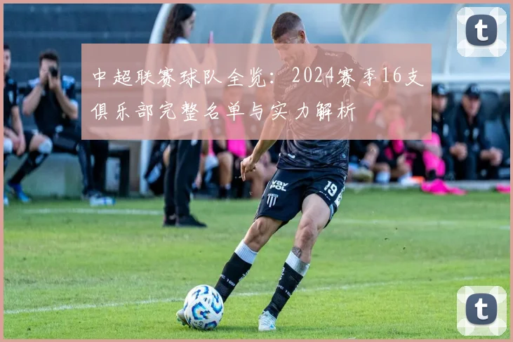 中超联赛球队全览：2024赛季16支俱乐部完整名单与实力解析